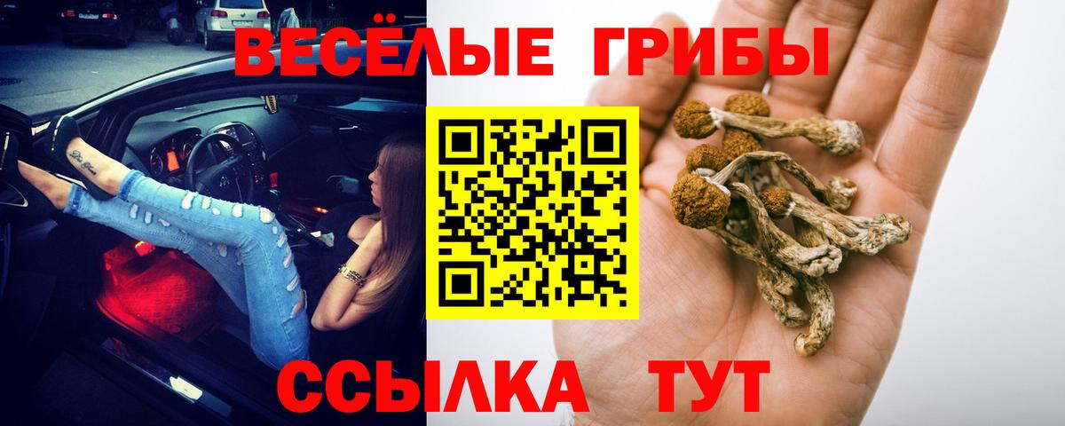 Рославль  Галлюциногенные грибы ЛСД  Вход с VPN  даркнет сайт  Галлюциногенные грибы GOLDEN TEACHER 